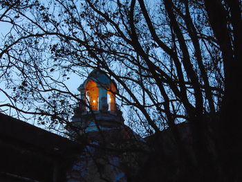 Low angle view of illuminated tree