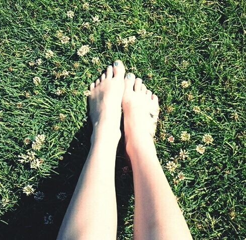 low section, person, grass, personal perspective, human foot, high angle view, barefoot, lifestyles, leisure activity, shoe, grassy, standing, relaxation, field, footwear, part of