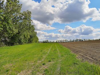 Scenic view of field against sky