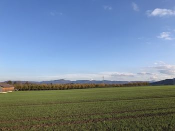 Scenic view of field against sky