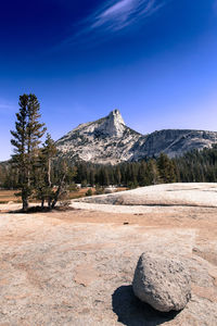 Scenic view of landscape against clear blue sky