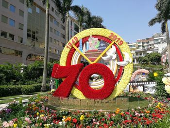 Close-up of red flower against trees and buildings in city