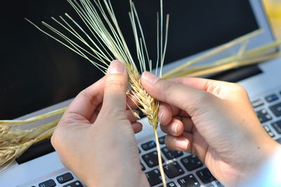 Close-up of hand using smart phone