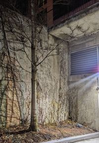 Abandoned building by bare trees against wall