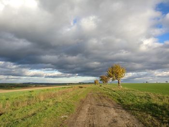 Scenic view of agricultural field against sky