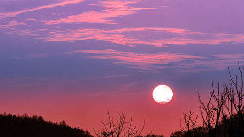 Scenic view of silhouette trees against romantic sky at sunset