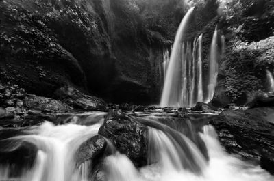 Scenic view of waterfall in forest