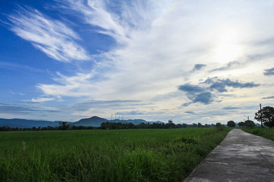 Road passing through field