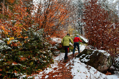 Rear view of people walking in forest during winter