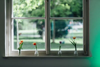 Close-up of window