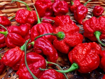 Full frame shot of red peppers