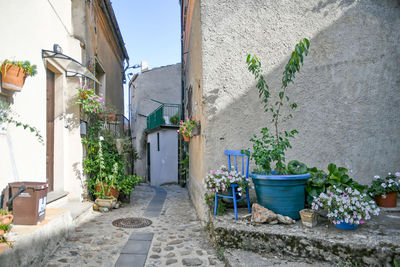 A narrow street of acri, an old village of calabria region in italy.