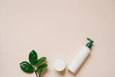 Natural herbal creams in bottles and jars with green leaves on a light beige background