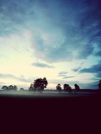 Silhouette trees on field against sky at sunset