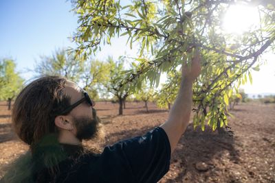 Young man picking almond nutshell from agricultural field