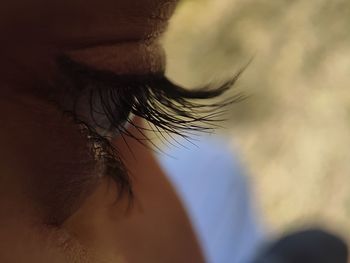 Close-up of human eye