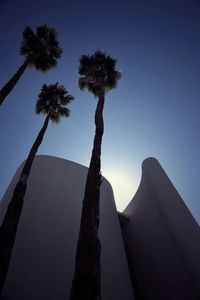 Low angle view of trees against blue sky