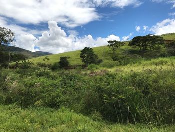 Scenic view of green landscape against sky