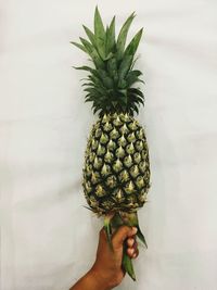 Midsection of person holding fruit