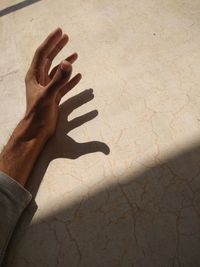 High angle view of person shadow on hand