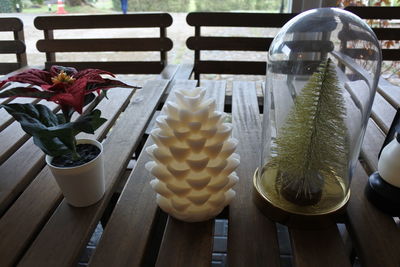 Close-up of potted plants on table