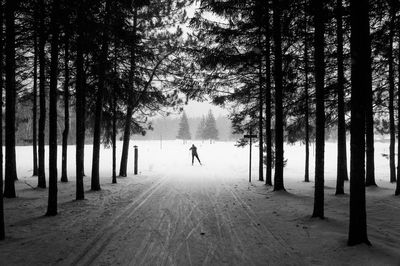 Man skiing on snow covered landscape