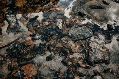 High angle view of rocks in sea