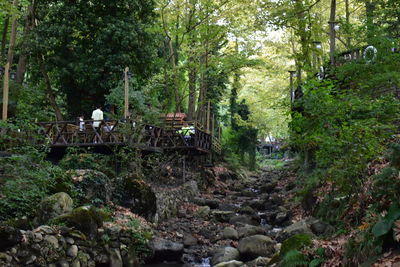 People walking on rocks amidst trees in forest