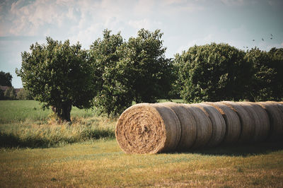 Hay bales on field against sky