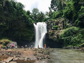 People standing in front of waterfall in forest