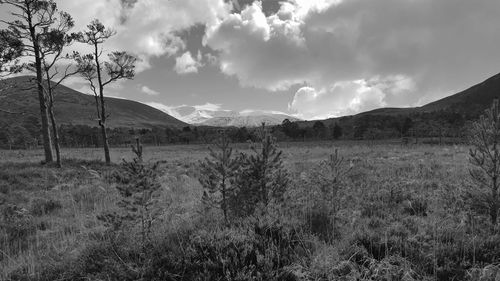 Panoramic view of landscape against sky