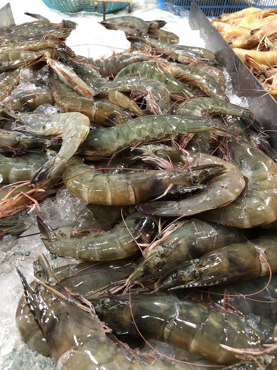 HIGH ANGLE VIEW OF FISH IN MARKET