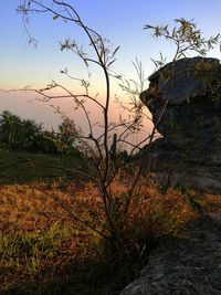 Scenic view of land against sky during sunset