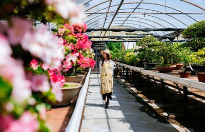 Full length of woman standing by flowering plants