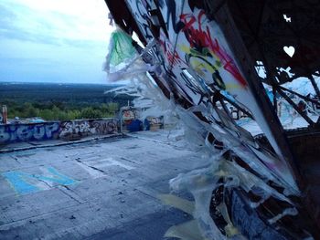 View of tree against sky