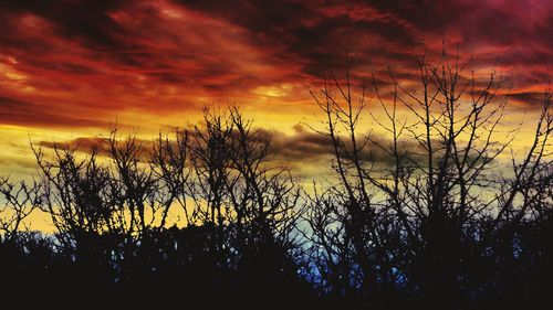 Scenic view of landscape against cloudy sky