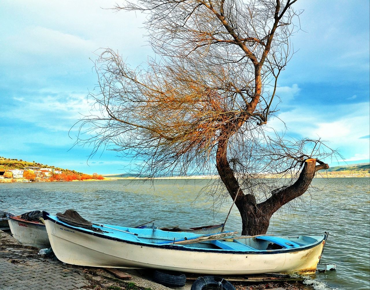 nautical vessel, water, boat, tree, moored, sky, bare tree, transportation, mode of transport, tranquility, branch, tranquil scene, nature, lake, cloud - sky, sea, cloud, day, scenics, river