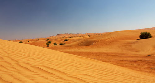 Scenic view of desert against clear sky