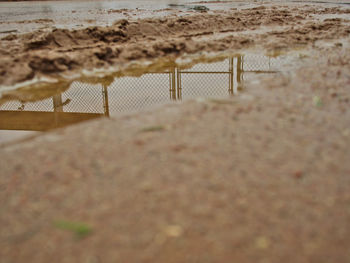 Scenic view of beach