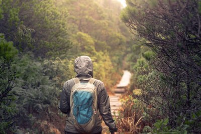 Rear view of woman standing against trees