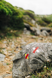 Close-up of red rock on field