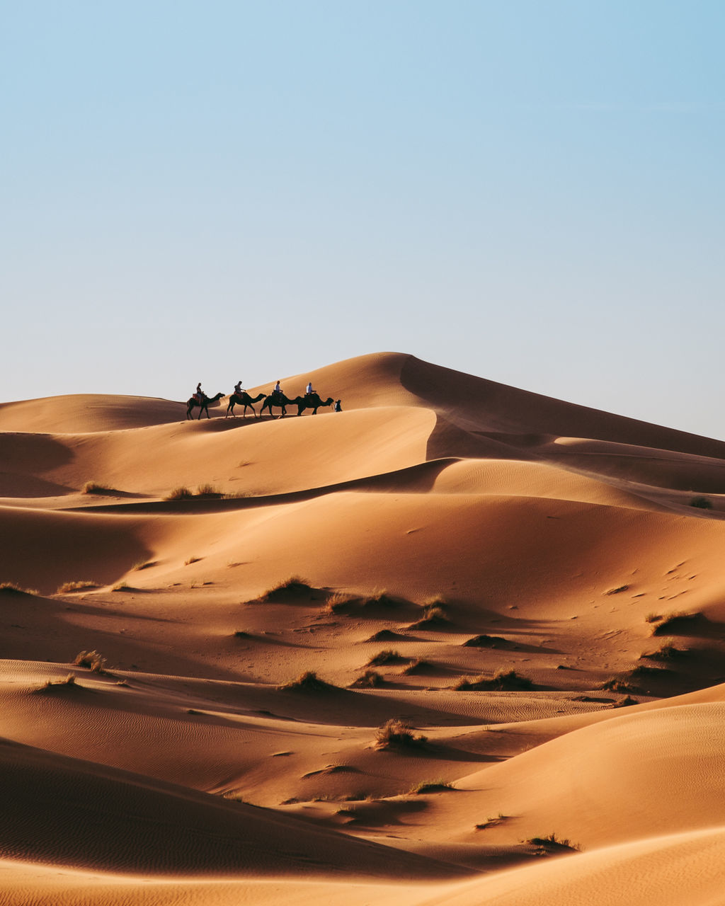 SCENIC VIEW OF DESERT AGAINST SKY