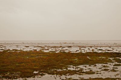 Scenic view of sea against clear sky