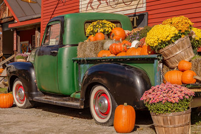 Various pumpkins on street