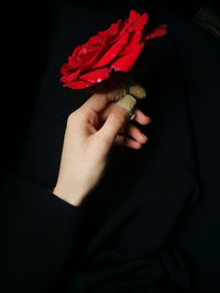 Close-up of hand holding red flower