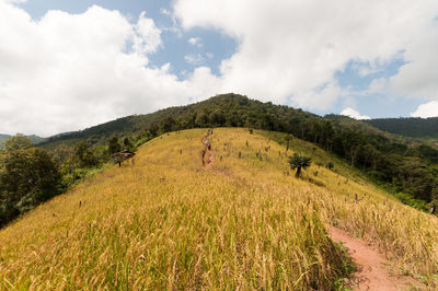 Countryside landscape against clouds