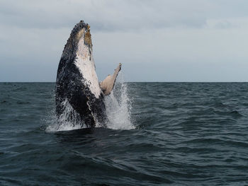 Man splashing water in sea against sky
