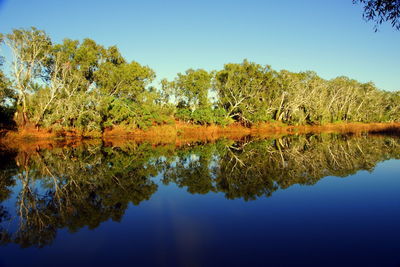 Reflection of trees in lake against clear sky