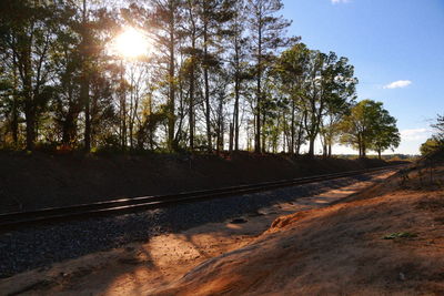 Trees on landscape against sky