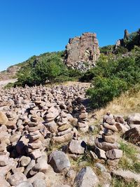 Plants growing on rocks against blue sky